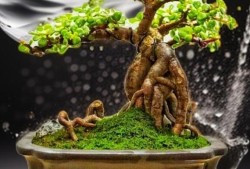 ImToken显示USDT教程，详细操作指南