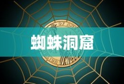 蜘蛛洞窟