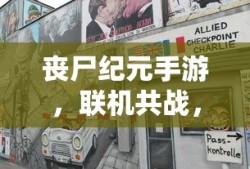 蔡徐坤的粉丝名叫什么