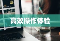 战国之野望游戏