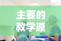 主要教学原则及其应用