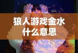 狼人游戏金水什么意思