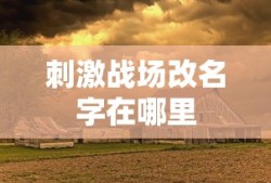 刺激战场改名字在哪里