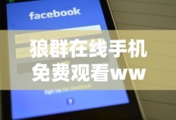 狼群在线手机免费观看www新版