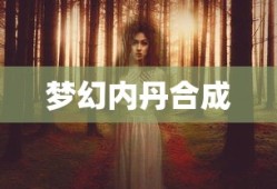 梦幻内丹合成，探索神秘力量的奥秘，梦幻内丹合成，揭秘神秘力量的奥秘探索