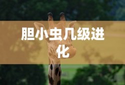 胆小虫几级进化