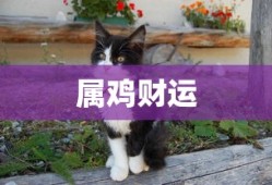霸道总裁契约婚姻电视剧泰剧
