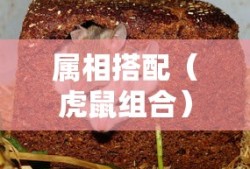 联盟手游，经典不衰，为何依旧火热？
