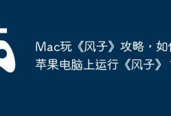 Mac玩《风子》攻略，如何在苹果电脑上运行《风子》？