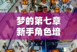 梦的第七章新手角色培养指南