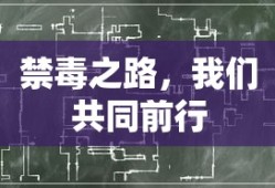 禁毒之路，我们携手共进