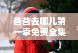 爸爸去哪儿第一季免费全集观看