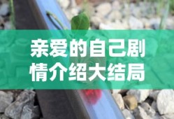 亲爱的自己剧情介绍大结局