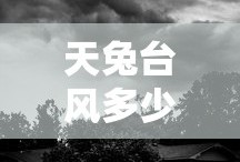 天兔台风多少级台风