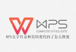 WPS文字目录和页码变代码了怎么恢复