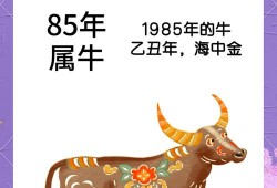 sp御馔津御魂搭配