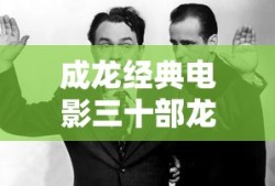 成龙经典电影三十部龙虎兄弟
