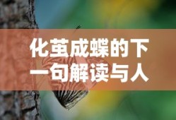 世界杯女单决赛直播在线观看