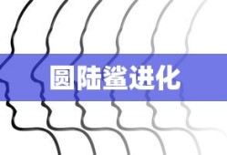 圆陆鲨进化