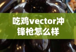 吃鸡vector冲锋枪怎么样