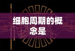 细胞周期的概念是