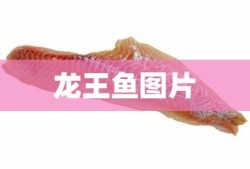 龙王鱼图片