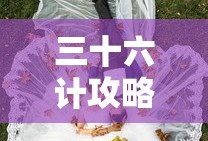 三十六计攻略武将组合