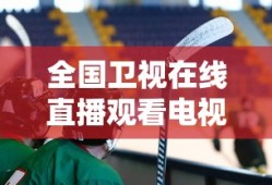 全国卫视在线直播观看电视