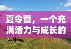 夏令营，活力与成长的夏日之旅
