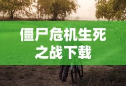 4399熊出没小游戏