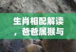 率土之滨手游，欧皇的诞生之地？
