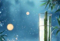 月光影视，光影交织下的梦幻之旅