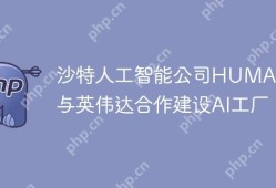 HUMAIN与英伟达合作建设AI工厂的沙特合作项目