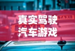 真实驾驶汽车游戏
