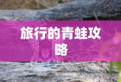旅行的青蛙攻略