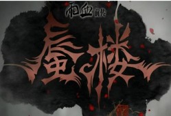 血雨前传，蜃楼激活码之谜