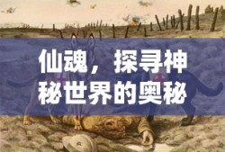 仙魂，探寻神秘世界的奥秘，探寻仙魂神秘世界的奥秘