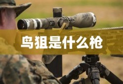 鸟狙是什么枪