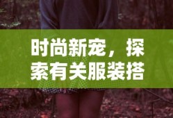 时尚新宠，探索服装搭配软件的应用