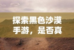 黑色沙漠手游探秘，是否真的存在坑？