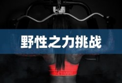 泽维尔多兰