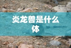 炎龙兽是什么体