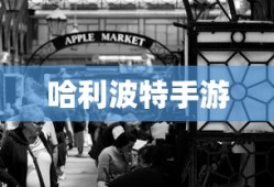 手游更新与补丁的必要性探讨，手游打补丁是否可行？
