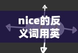 nice的反义词用英语怎么写