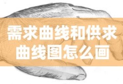 需求曲线和供求曲线图怎么画