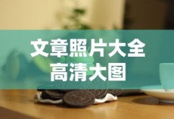 极战联盟英雄大全图片