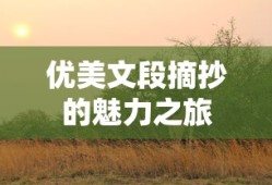 优美文段摘抄的魅力之旅