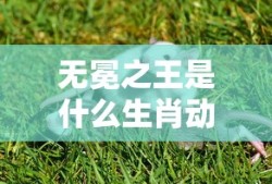 无冕之王是什么生肖动物