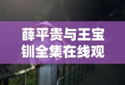 薛平贵与王宝钏全集在线观看高清