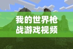 我的世界枪战游戏视频